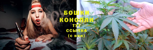 дурь Верея